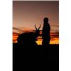 Image 3 : 7-day South Africa Plains Game Safari for Two Hunters