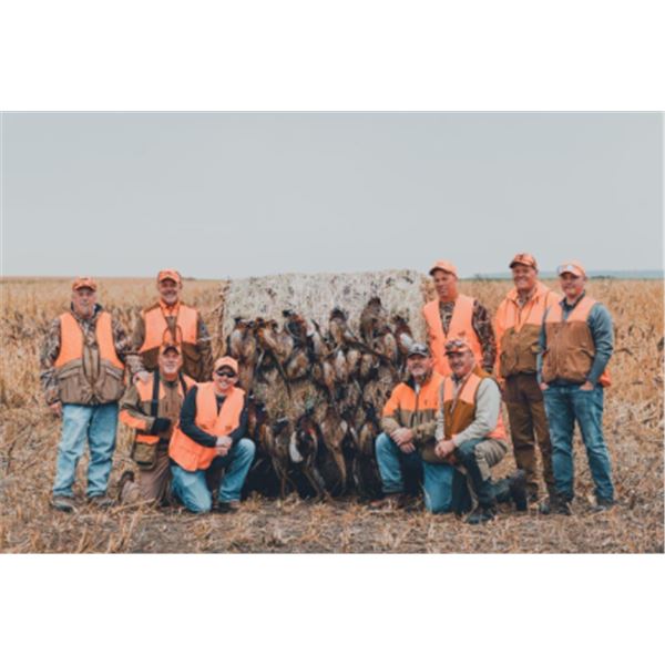 3-day South Dakota Pheasant for Four Hunters