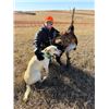 Image 5 : 3-day South Dakota Pheasant for Four Hunters