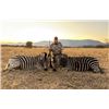 Image 1 : 7-day South Africa Plains Game Hunt for One Hunter and One Non-hunter