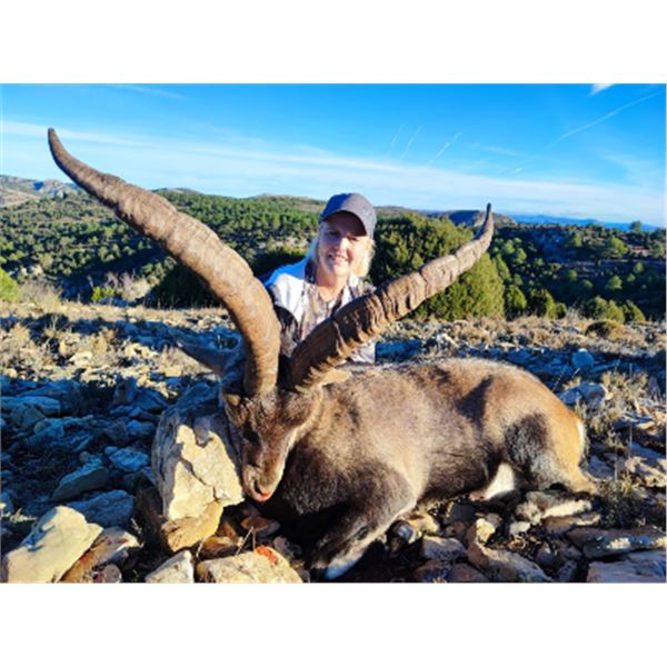 5-day Spain Beceite Ibex Hunt for Two Hunters