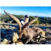Image 1 : 5-day Spain Beceite Ibex Hunt for Two Hunters