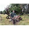 Image 1 : 5-day New Zealand Bronze Medal Red Stag Hunt for Two Hunters