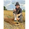 Image 1 : 4-day/5-night Romania European Roe Deer Hunt for Two Hunters and Two Non-hunters