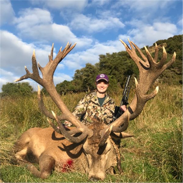 5-day New Zealand Red Stag (up to 360), Chamois, and Ram Hunt for Three Hunters