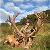 Image 1 : 5-day New Zealand Red Stag (up to 360), Chamois, and Ram Hunt for Three Hunters