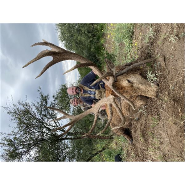 5-day/6-night Argentina Free Range Red Stag and BlackBuck Hunt for Two Hunters