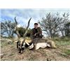 Image 3 : 5-day/6-night Argentina Free Range Red Stag and BlackBuck Hunt for Two Hunters