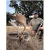 Image 1 : 5-day Spain Big Game Hunt and "Old Madrid" Day Tour for One Hunter and One Non-hunter