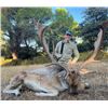 Image 2 : 5-day Spain Big Game Hunt and "Old Madrid" Day Tour for One Hunter and One Non-hunter