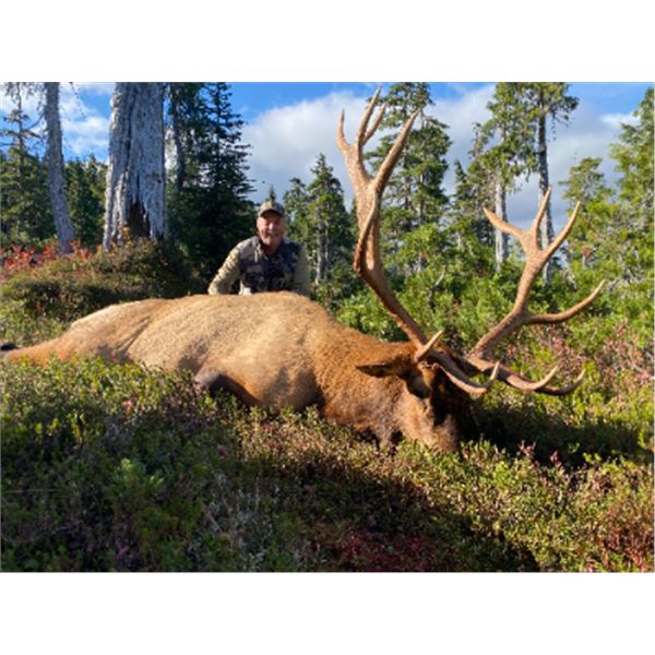10-day British Columbia Roosevelt Elk Hunt for One Hunter and One Non-Hunter
