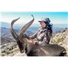 Image 1 : 9-day Spain Gredos Ibex, Ronda Ibex, Southeastern Ibex and Cantabrian Chamois Hunt for One Hunter an