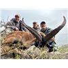 Image 4 : 9-day Spain Gredos Ibex, Ronda Ibex, Southeastern Ibex and Cantabrian Chamois Hunt for One Hunter an