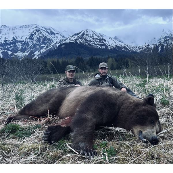 12-day Alaska Coastal Brown Bear and Mountain Goat Hunt for One Hunter