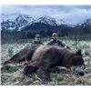 Image 1 : 12-day Alaska Coastal Brown Bear and Mountain Goat Hunt for One Hunter