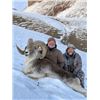 Image 1 : 10-day Tajikistan Marco Polo Sheep Hunt for One Hunter