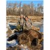 Image 1 : 10-day Alaska Brown Bear Hunt for One Hunter with GunWerks Rifle System, Sitka Gear Package, and Ken