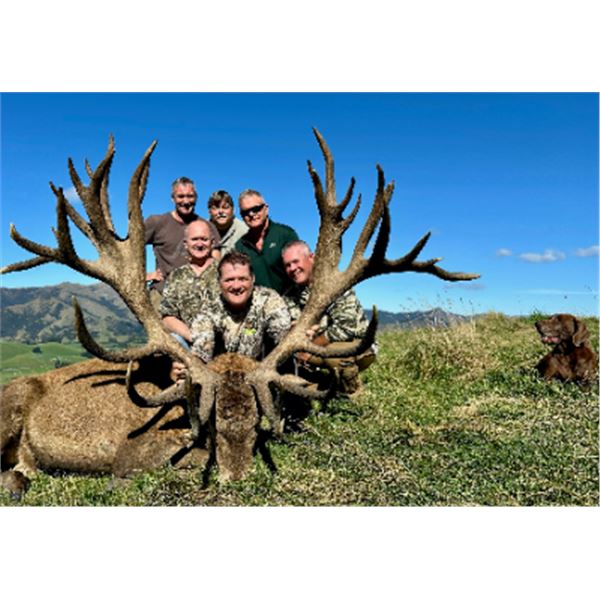 5-day New Zealand Red Deer Hunt (up to 450 SCI), Tahr, Chamois and Ocean Fishing Charter for Four Hu