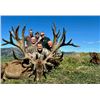 Image 1 : 5-day New Zealand Red Deer Hunt (up to 450 SCI), Tahr, Chamois and Ocean Fishing Charter for Four Hu