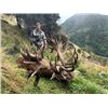Image 2 : 5-day New Zealand Red Deer Hunt (up to 450 SCI), Tahr, Chamois and Ocean Fishing Charter for Four Hu
