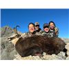 Image 3 : 5-day New Zealand Red Deer Hunt (up to 450 SCI), Tahr, Chamois and Ocean Fishing Charter for Four Hu