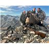Image 4 : 5-day New Zealand Red Deer Hunt (up to 450 SCI), Tahr, Chamois and Ocean Fishing Charter for Four Hu