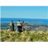 Image 5 : 5-day New Zealand Red Deer Hunt (up to 450 SCI), Tahr, Chamois and Ocean Fishing Charter for Four Hu