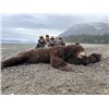 Image 2 : 9-day Yacht-Based Alaska Coastal Brown Bear Hunt for One Hunter with Historic Glacier Guides, Inc.