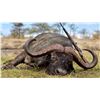 Image 4 : 14-day Tanzania Leopard, Cape Buffalo and Plains Game Safari for One Hunter and One Non-Hunter