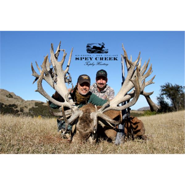 5-day New Zealand Premiere Red Stag Hunt up to 425 SCI for Two Hunters and Two Non-Hunters