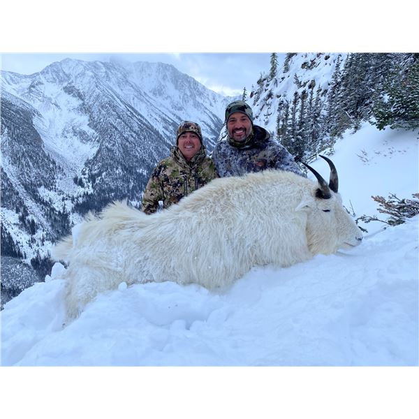 7-day British Colombia Winter Mountain Goat Hunt for One Hunter