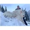 Image 2 : 7-day British Colombia Winter Mountain Goat Hunt for One Hunter