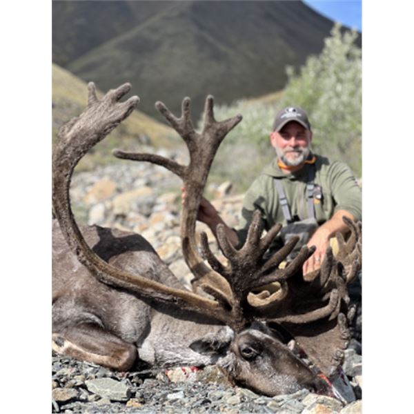 8-day Alaska Alaskan-Yukon Barren Ground Caribou Hunt for One Hunter