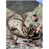 Image 1 : 8-day Alaska Alaskan-Yukon Barren Ground Caribou Hunt for One Hunter