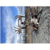 Image 3 : 8-day Alaska Alaskan-Yukon Barren Ground Caribou Hunt for One Hunter