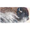 Image 1 : Original Oil Panting on canvas Titled "Snowpiercer" by Alsac Fine Art