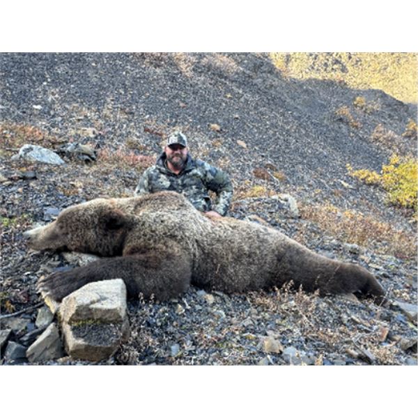 10-day Alaska Brown Bear Hunt for One Hunter