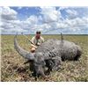 Image 1 : 7-day Australia Buffalo Hunt for One Hunter and One Non-hunter