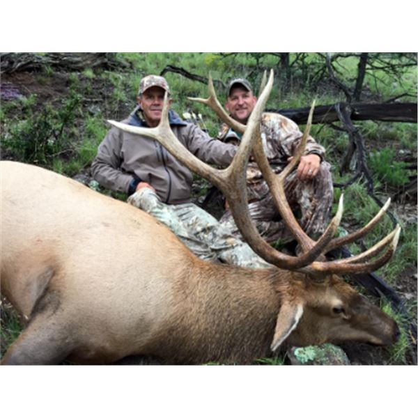 10-day Oregon and Washington Roosevelt Elk Hunt for One Hunter