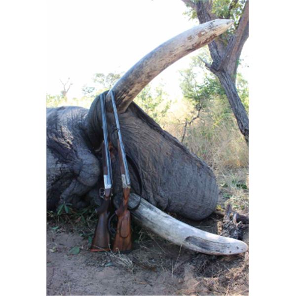 12-day Namibia's Zambezi Region Exportable Elephant Hunt for One Hunter and One Non-Hunter