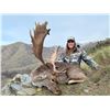 Image 1 : 5-day Spain Free-Range Iberian Red Deer & European Fallow Deer Hunt for Two Hunters & Two Non-Hunter