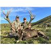 Image 2 : 5-day Spain Free-Range Iberian Red Deer & European Fallow Deer Hunt for Two Hunters & Two Non-Hunter