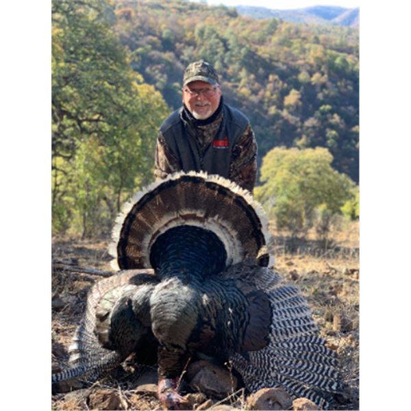 6-day Mexico Gould's Turkey Hunt for Four Hunters