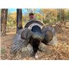 Image 3 : 6-day Mexico Gould's Turkey Hunt for Four Hunters