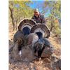 Image 5 : 6-day Mexico Gould's Turkey Hunt for Four Hunters