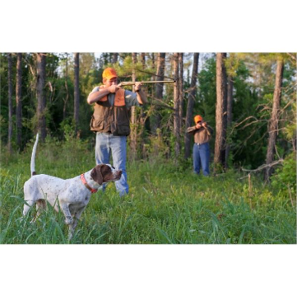 2-day/3-night Alabama Quail Shoot for Four Hunters and Four Non-Hunters
