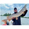 Image 1 : 4-day Manitoba Northern Pike, Walleye and Lake Trout Fishing Trip for Four Anglers