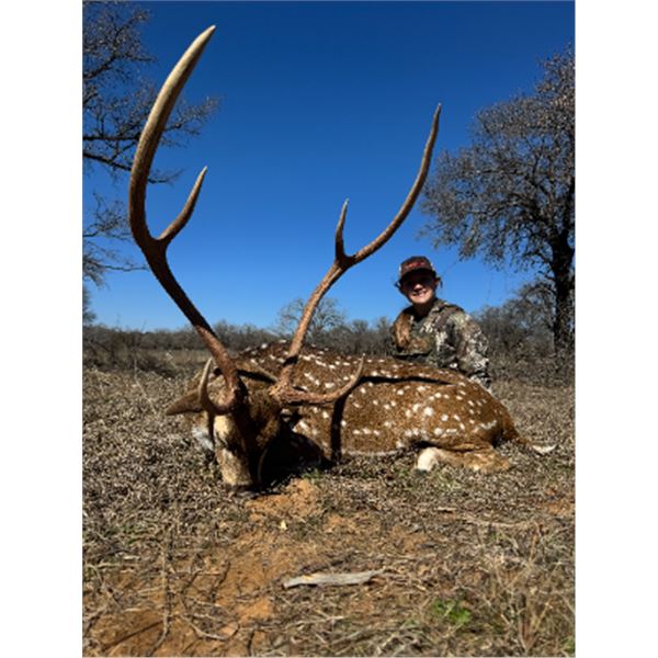 2-day/3-night Texas Axis, Blackbuck and Audad Hunt for One Hunter and One Non-hunter
