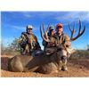 Image 1 : 6-day Mexico Desert Mule Deer Hunt for One hunter and One Non-hunter