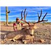 Image 2 : 6-day Mexico Desert Mule Deer Hunt for One hunter and One Non-hunter